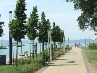 Aranymazsola Wellness Apartman 