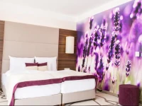 Ambient Hotel & Aroma Spa 