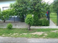Luca Vendeghaz Home