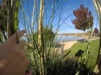Lake and Spa Apartman 