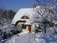 Panka House 