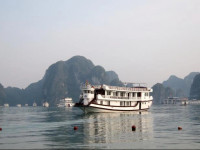 Monkey Island Cruise