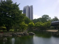 Radisson Blu 4*