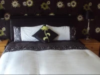 Shannonside Bed & Breakfast 