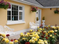 Wayside B&B 
