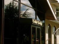 Cedar Lodge Hotel - Ireland 