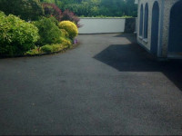 Palm Grove B&B