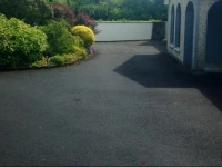 Palm Grove B&B 