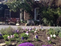 Raheen House Hotel 