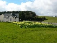 Inishfree House B&B 