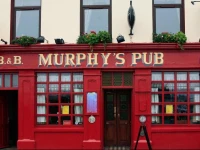 Murphys Pub and B&B 