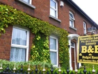 Roseville Lodge B&B 