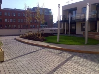 Pavilion View 
