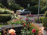 Bohola House B&B 