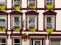 Red Setter Townhouse Bed & Breakfast 