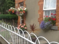 Bridge View B&B 