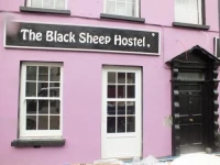 The Black Sheep Hostel 