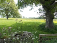 Ash Hill B & B 