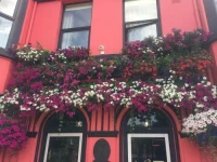 Rose Lodge Guest House 