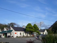 Cloverfox Connemara 