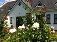 Coonagh Lodge B&B 3*