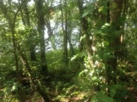 Woodside Self Catering Lough Rynn 