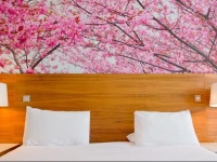Moyvalley Hotel & Golf Resort 