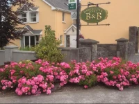 Marlinstown Court B&B 
