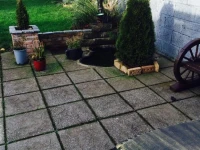 Maureens Bed and Breakfast 