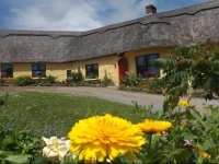 Spring Farm 