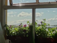 The Waterside B&B 