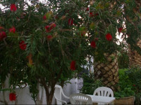 Kapetanios Studios