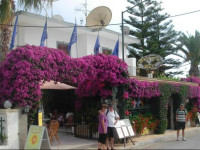 Harrys Bar & Apartments 1