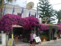 Harrys Bar & Apartments 1 