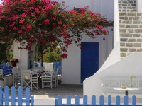Casa Flora Antiparos