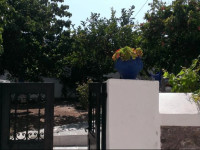 Alexandros House