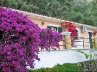 Kikis Apartments