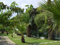 Damnoni Paradise