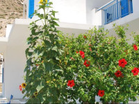 Afroditi Hotel