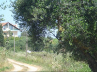 Villa Georgina B&B