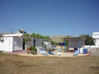 Haraki Vineyard 