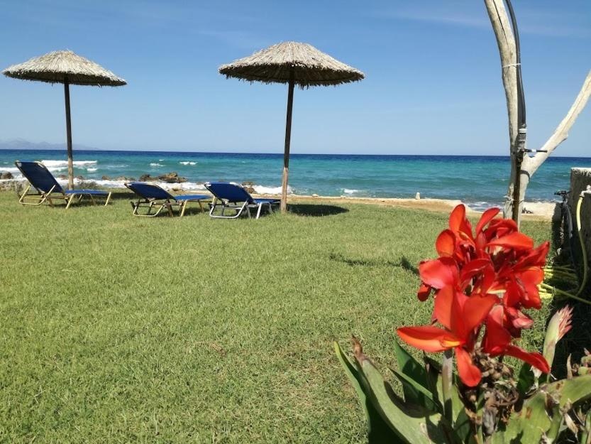 Studio Thalassa 
