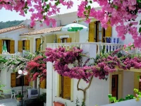 Olympia Beach Hotel 
