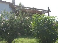 KRITINIA - RODOS 