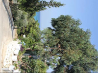 Laskarina Rooms