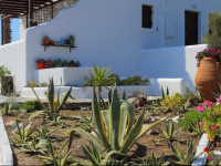 Studios Fivos