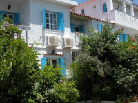 Pelagia