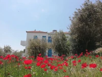 Villa Jota 4*