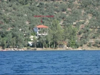 Violetta Studios & Apartments 