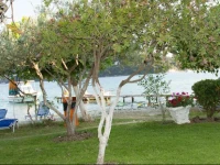 Akrogiali Studios 